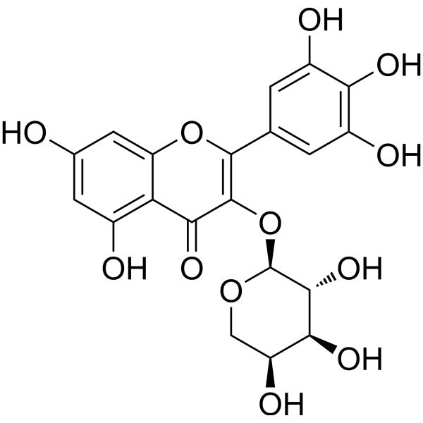 Myricetin 3-O-α-L-arabinopyranoside 132679-85-7